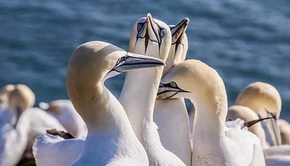 开云kaiyun网页版：让云端高效触手可及的工作新标准